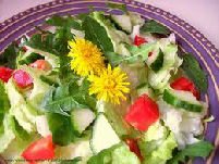 Dandelion Salad