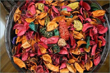 Make Yule Simmering Potpourri.